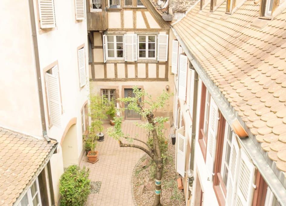 Charmant Triplex En Hyper Centre Straßburg Exterior foto